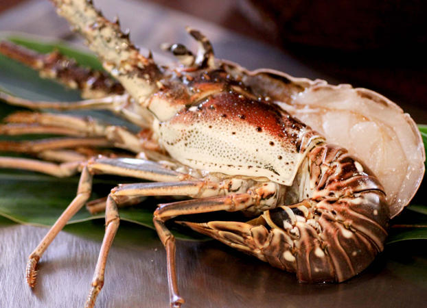 鲜龙虾（半尾）搭配香菇的铁板烧